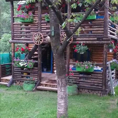 Pensiunea Anita Vişeu de Sus Exterior foto