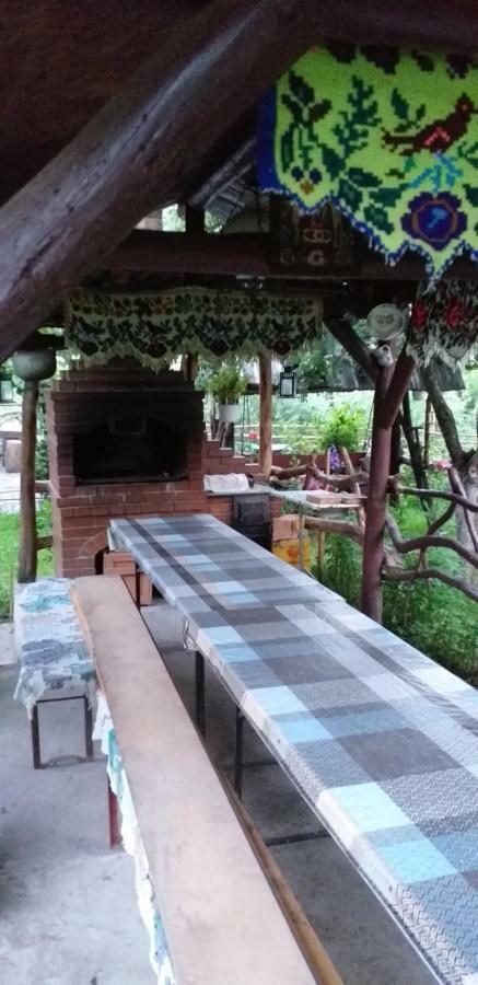 Pensiunea Anita Vişeu de Sus Exterior foto